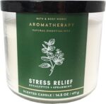 Eucalyptus Spearmint - 3 Wick Candle - Image 2