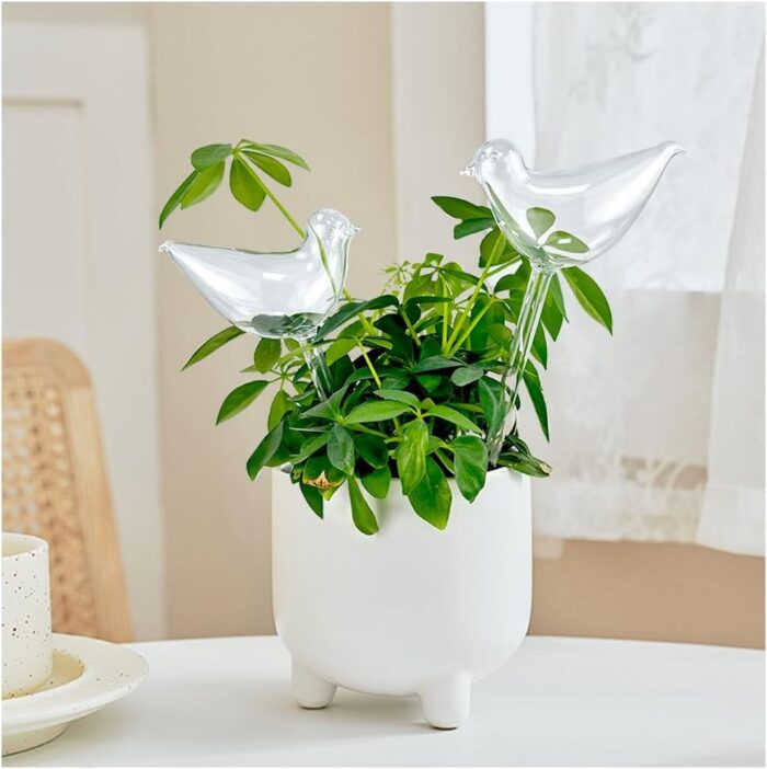 Bird- Plant Self Watering Spikes - Image 1