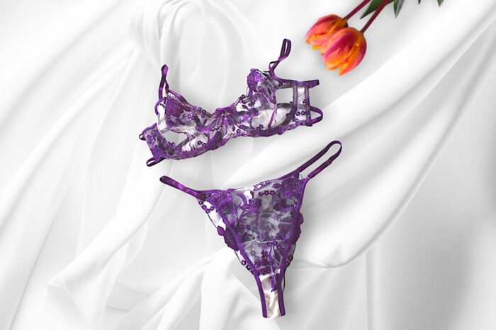 Embroidered Panty & Bra Set - Purple - Image 1