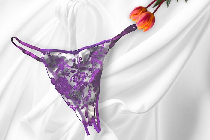 Embroidered Panty & Bra Set - Purple - Image 3