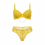 Yellow Lace Embroidered Panty & Bra Set - Image 2