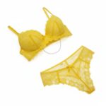 Yellow Lace Embroidered Panty & Bra Set